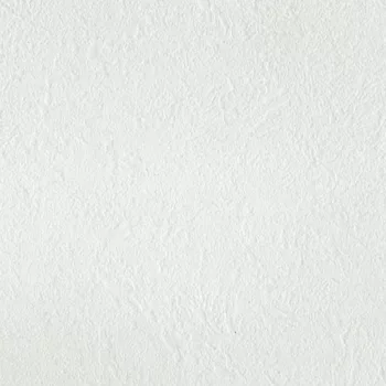 Hpl W980 ST82 Platinum white 5000x45mm