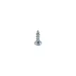 Forgácslapcsavar 3x12mm TM 1000db/doboz