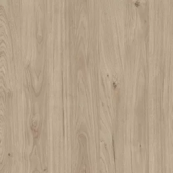 Y641 FS26 Virginiai Gesztenye 2800x2070x18mm