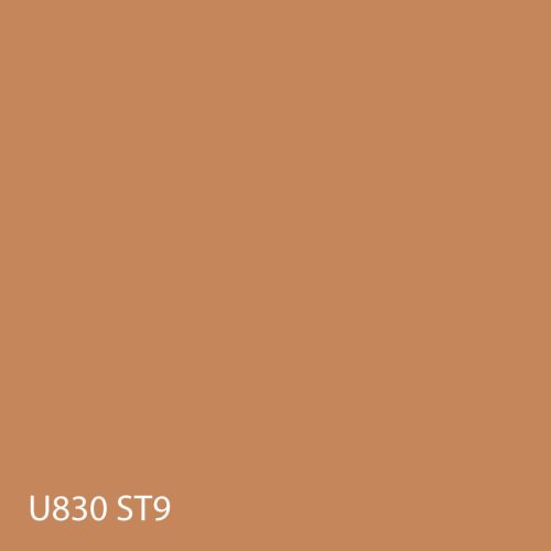 U830 ST9 KARAMELL NUDE 2800x2070x18mm