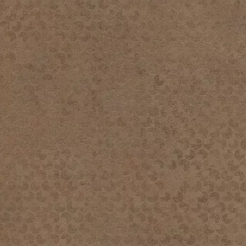 F323 ST20 Cobra Bronz 2800x2070x18mm 24+ Kollekció