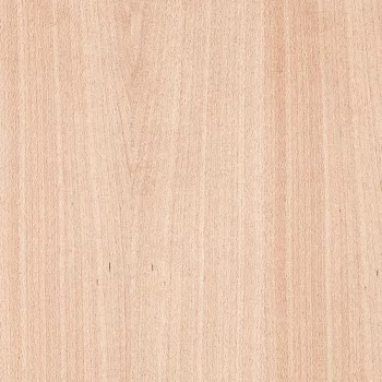 Színfúrnéros forgács Bükk A/B  2800x2070x19mm